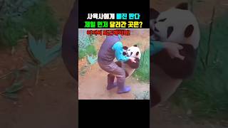 유튜브 썸네일