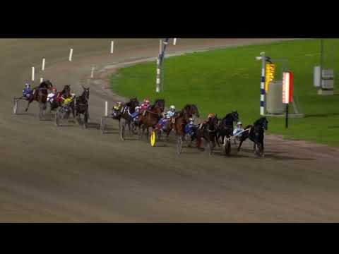 Uttagningslopp 6 Svenskt Trav Derby 2023 - Working Class Hero