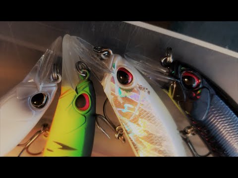 Thoughts: Duo Realis Jerkbait