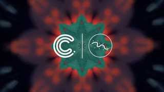 Fitzroy - Turtle Haze