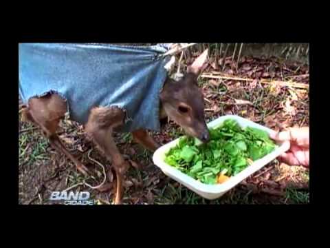 Band Cidade Campinas 18 09 2012 - bloco 03