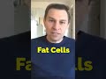 AVOID THIS To Stop Accelerating Aging Dr David Sinclair Interview Shorts