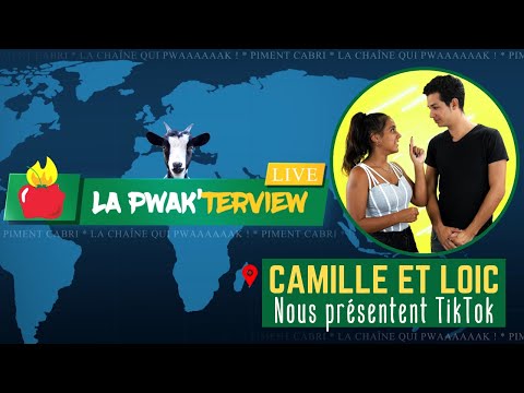 Pwakterview - Camille et Loïc (TikTok)