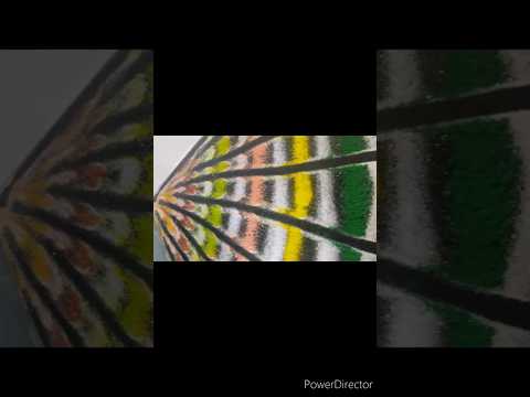 flower rangoli designs ideas#flowerrangoli #rangoli #flowerrangoliideas#flowers