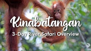 KINABATANGAN RIVER, SABAH | Overview 3-Day Kinabatangan River Safari in Sabah, Malaysia