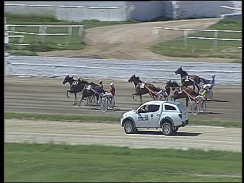 Trotto 22/05/2016 - 2° corsa