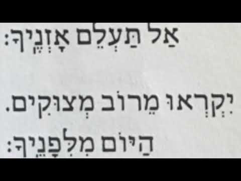 10. Ya Shema Ebyonecha - י–הּ שמע אביוֹניךָ
