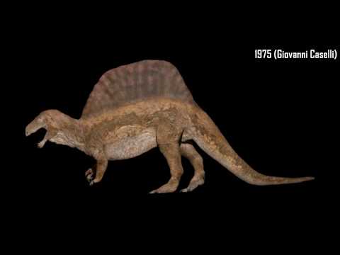 Morphing history (Spinosaurus 1975-2020) - lo spinosauro rivoluzionato dalle ultime scoperte