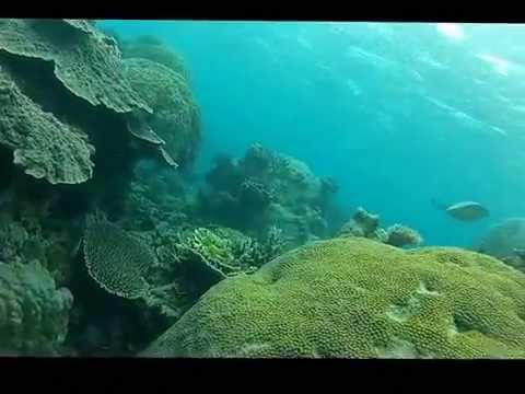 The Fish Bowl, Hastings Reef, Great Barrier Reef - SCUBA - GoPro Hero 2 HD