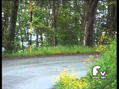 " Il Medico" & Carbognani Fabrizio Rally del Taro 2014