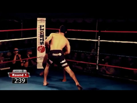 Alfred Khashakyan KO highlights