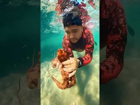 Ponta Grossa 📍 Icapui CE - fica à 200 km de Fortaleza @pontagrossabeach 85 98733-5606