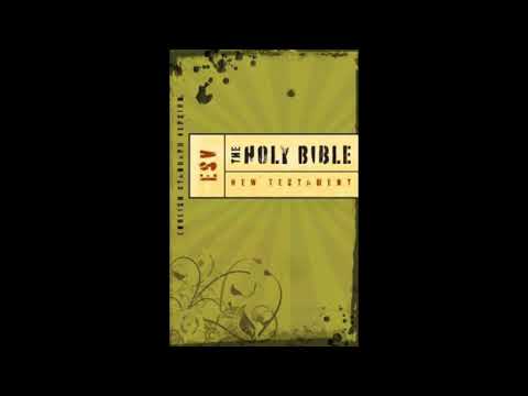 The Book Of Matthew - ESV