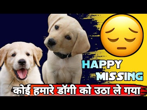 कोई हमारे Baby डॉग को उठा ले गया 🐕🐕🐕  #trending #vlog #dailyvlog
