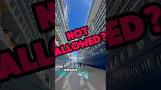 Should This Be ALLOWED on a Cruise Ship?