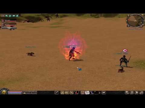 Metin2.ro Dragon 5 in 1 ☾⋆