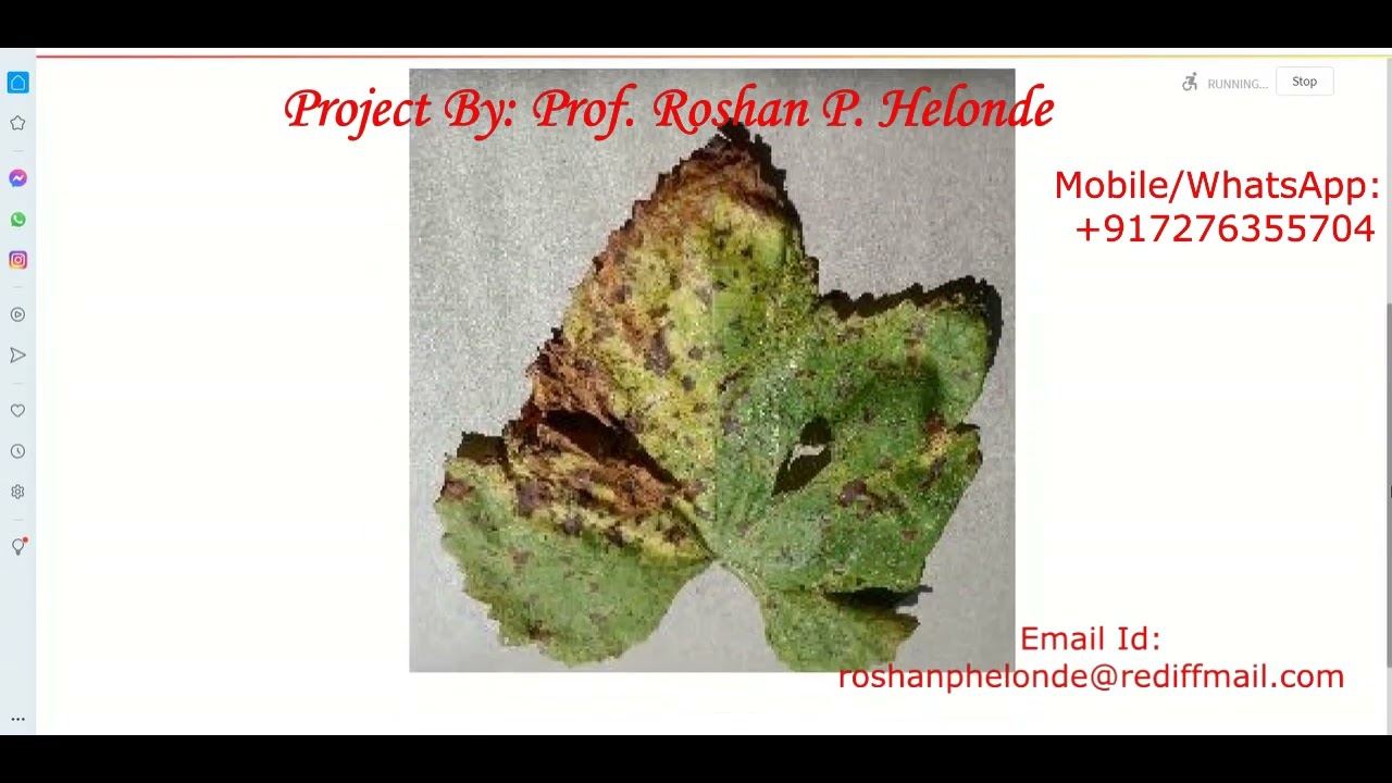 Python Code on Grape Leaf Disease Detection Using Neural Network CNN | Image Processing Project Code