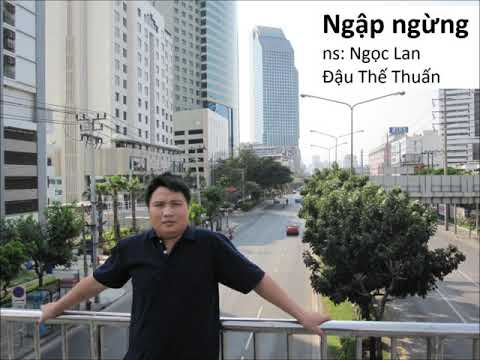 Vẫn yêu trong đợi chờ - Đậu Thế Huấn