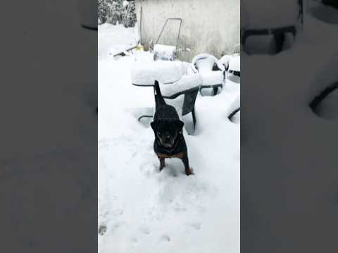 🥶🥶🥶🥶🥶 #dj