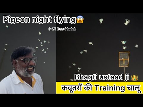 Bhagti ustad ji's training of the kabootaro😍