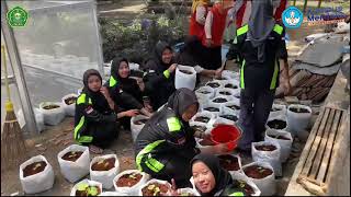 Pelatihan Budidaya Tanaman Melon secara Fertigasi || Mahasiswa UMNU Kebumen || Kolaborasi Dosen