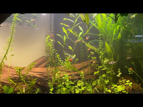 Aquarium 180L