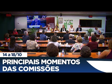 Acompanhe os principais momentos das comissões – 14 a 18 de outubro