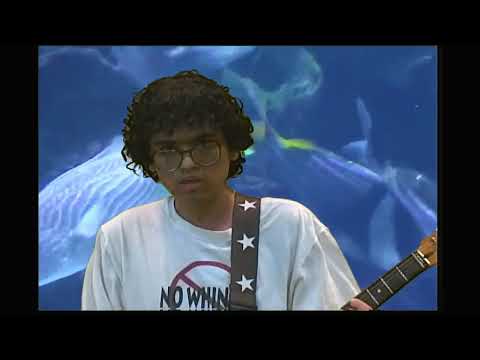 Video thumbnail for stingray