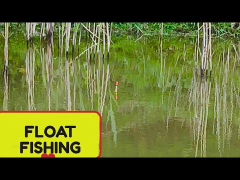 float fishing at white house farm fishery