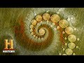 Ancient Aliens: Secret Crop Circle Messages (Season 10) | History