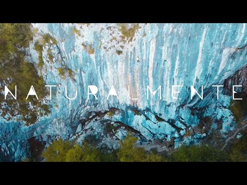 NATURALMENTE - Gabriele Moroni