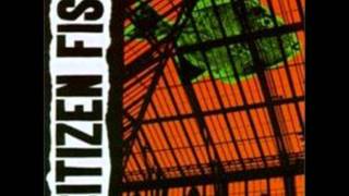 Citizen Fish - Supermarket Song