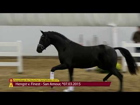 Finest  - San Amour *2015