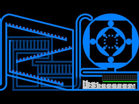 The Team Marble Race 5 in Algodoo