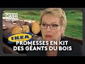 Razzia Sur Le Bois Les Promesses En Kit Des Géants Du Meuble Cash Investigation