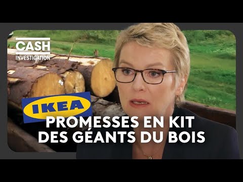 Capcana PEFC — Cash Investigation & Agent Green