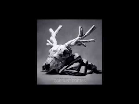 Rubaïyat  - Lucio Bukowski / Oster Lapwass - Extrait de l'album Oderunt Poetas