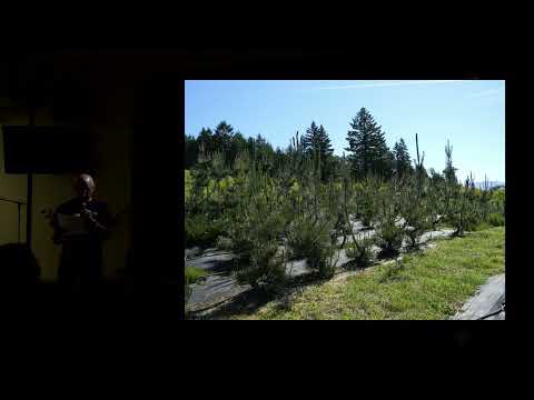 Top-Down Bonsai Repotting Technique for Field-Grown Trees - Tom Fincel at Farm To Table - BSOP