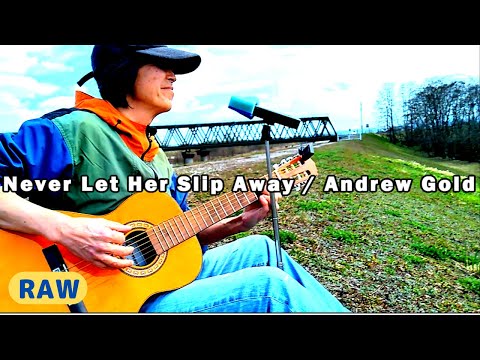 [sing with guitar] Andrew Gold - Never Let Her Slip Away (1978) cover