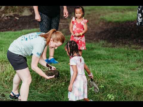 Stream Exploration at Greenfield