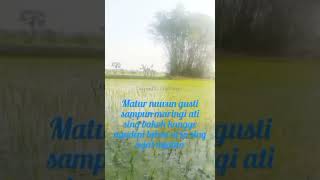 Download lagu Story wa kesucian ati,ojo di padakno isun ambi wong liyo mp3