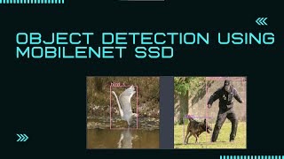 Object Detection using MobileNet SSD