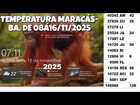 TAMPERATURA MARACÁS BAHIA DE 08Á16/11/2025