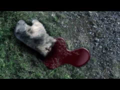 Stephen King - Die Arena - Hörbuch