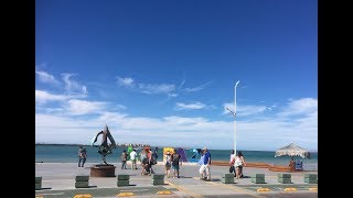 【メキシコ】みかん男のリポート　メキシコの良さを伝えちゃう！