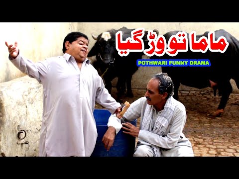 Mama Warr Gaya - Funny Video - Masi Rishtian Aali Ep 02 - Pothwari Funny Drama - Mithu Funny Clips