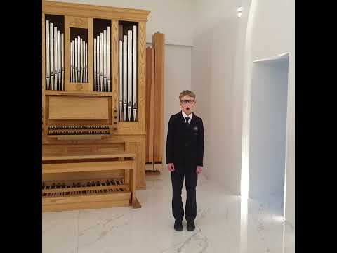 Faustas Liutkus. Dievo vaikas. Muzika ir žodžiai Robert Lau