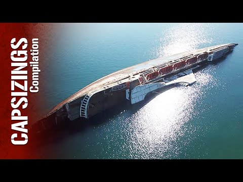 Waterline Stories and 2 more