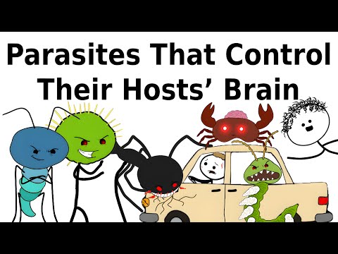 Parasites That Control Their Hosts' Brain