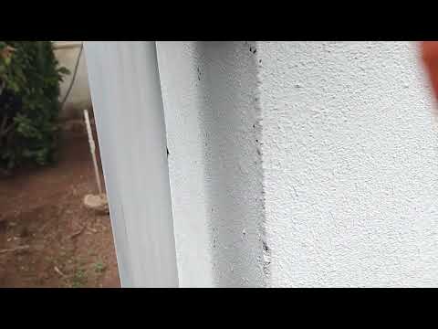 Ants Following Their Pheromone Trail in Beach Haven, NJ